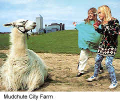 Have a great Day out with the Family